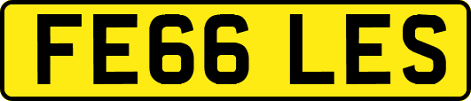 FE66LES