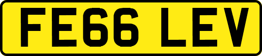 FE66LEV