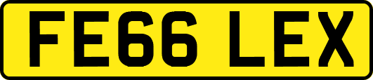 FE66LEX