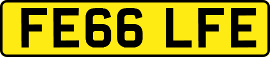FE66LFE