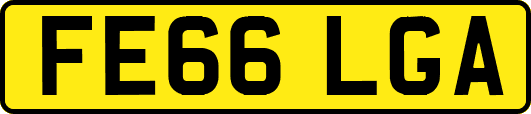 FE66LGA