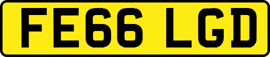 FE66LGD