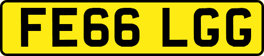 FE66LGG