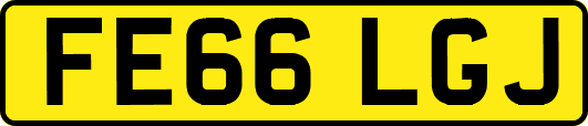 FE66LGJ