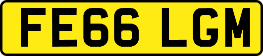 FE66LGM