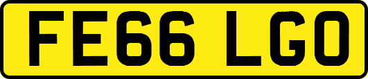 FE66LGO