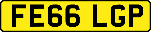 FE66LGP
