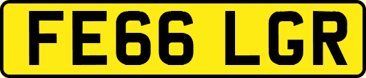 FE66LGR