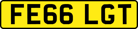 FE66LGT
