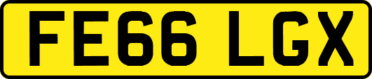 FE66LGX