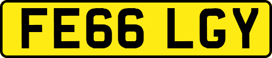 FE66LGY