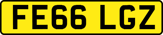 FE66LGZ