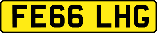 FE66LHG