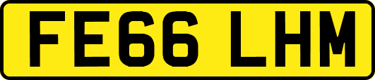 FE66LHM