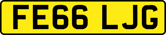 FE66LJG