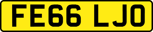 FE66LJO