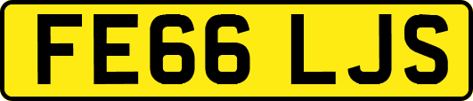 FE66LJS