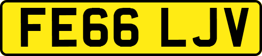 FE66LJV