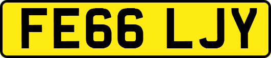 FE66LJY