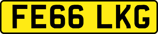 FE66LKG