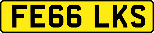FE66LKS