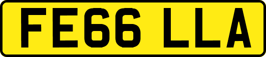 FE66LLA