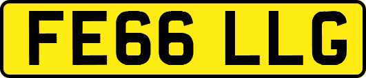 FE66LLG