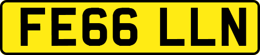FE66LLN