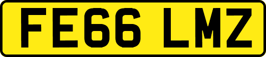 FE66LMZ