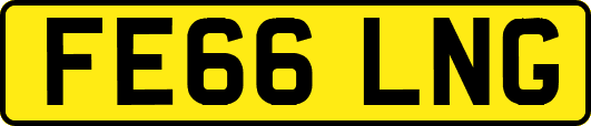 FE66LNG