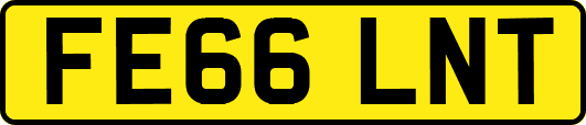 FE66LNT