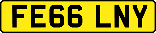 FE66LNY