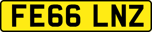 FE66LNZ