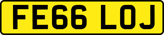 FE66LOJ