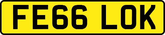 FE66LOK