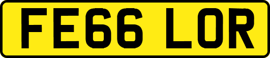 FE66LOR