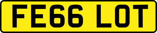 FE66LOT
