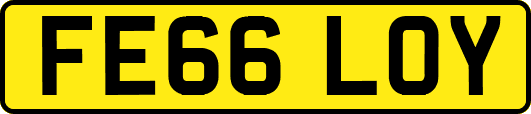 FE66LOY