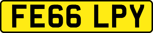 FE66LPY