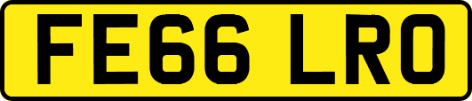 FE66LRO