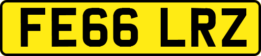 FE66LRZ