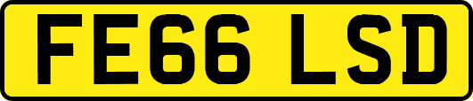 FE66LSD