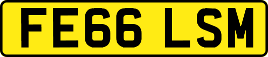 FE66LSM