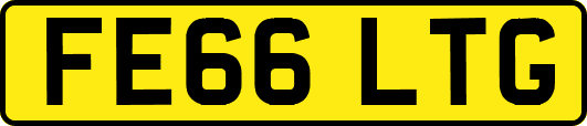 FE66LTG