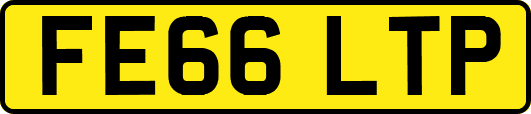 FE66LTP