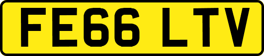 FE66LTV