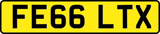 FE66LTX