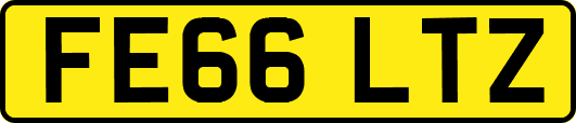 FE66LTZ