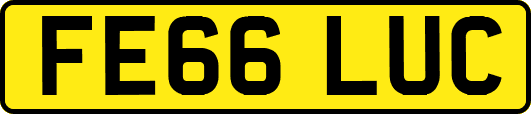 FE66LUC