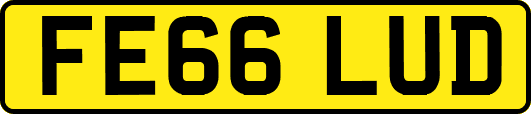 FE66LUD